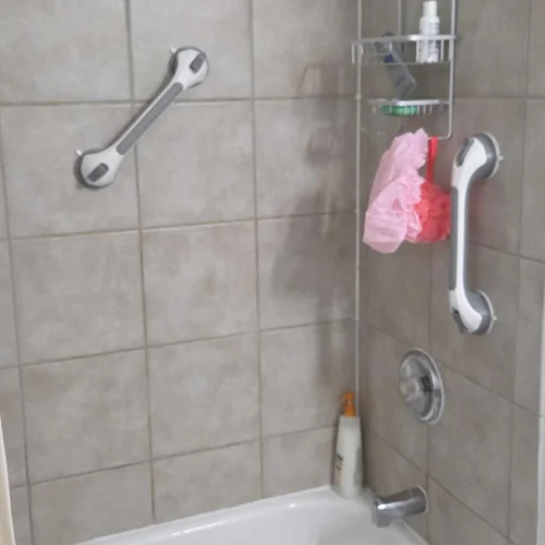 Gripstead Pro installed in bathroom